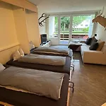 Stylish Alpine In Davos, Wifi & Netflix *