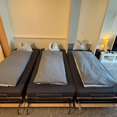 Stylish Alpine In Davos, Wifi & Netflix דאבוס