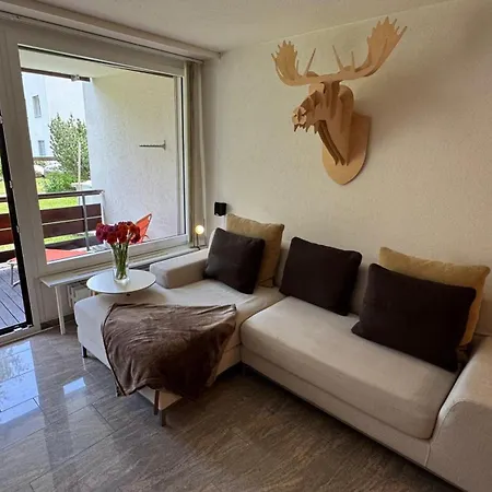 Stylish Alpine In Davos, Wifi & Netflix * 다보스