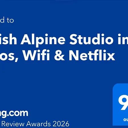 Stylish Alpine In Davos, Wifi & Netflix アパート ダヴォス・プラッツ