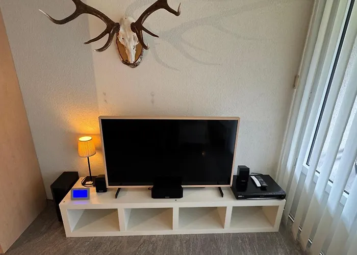 Apartamento Stylish Alpine In Davos, Wifi & Netflix
