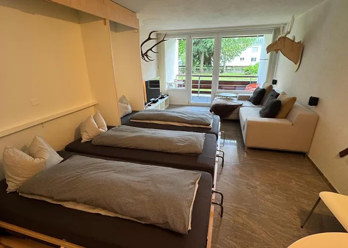 Stylish Alpine In Davos, Wifi & Netflix *