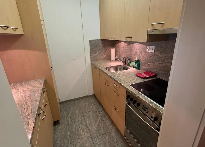 Apartamento Stylish Alpine In Davos, Wifi & Netflix