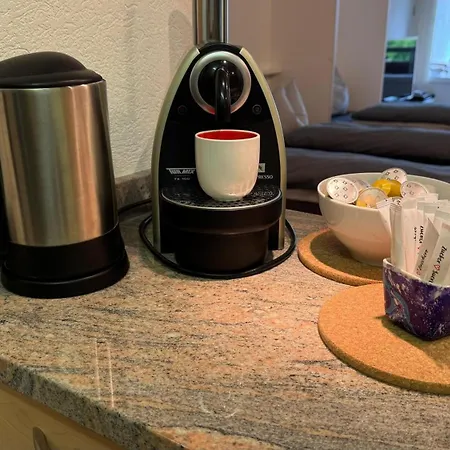 Stylish Alpine In Davos, Wifi & Netflix Davos